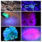 Black Light Detector LED UV Flashlight Torches