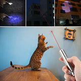 3-in-1 Rechargeable Cat Catch Pointer Toy Pet Training Tool