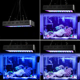 Dimmable Full Spectrum Fish Tank Aquarium Lights