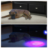 Black Light Detector LED UV Flashlight Torches